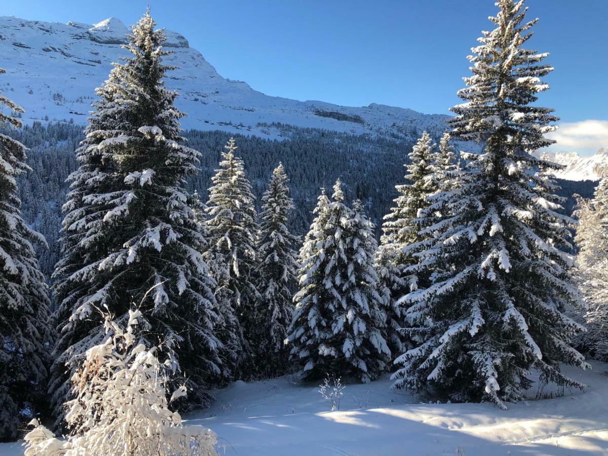 Spacious Apartment Iris, Flaine Foret المظهر الخارجي الصورة
